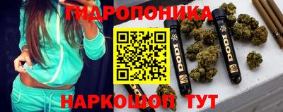 стафф Норильск