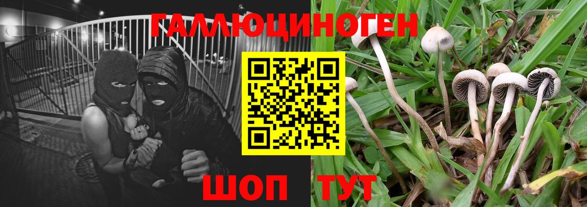 Псилоцибиновые грибы Magic Shrooms Новосибирск