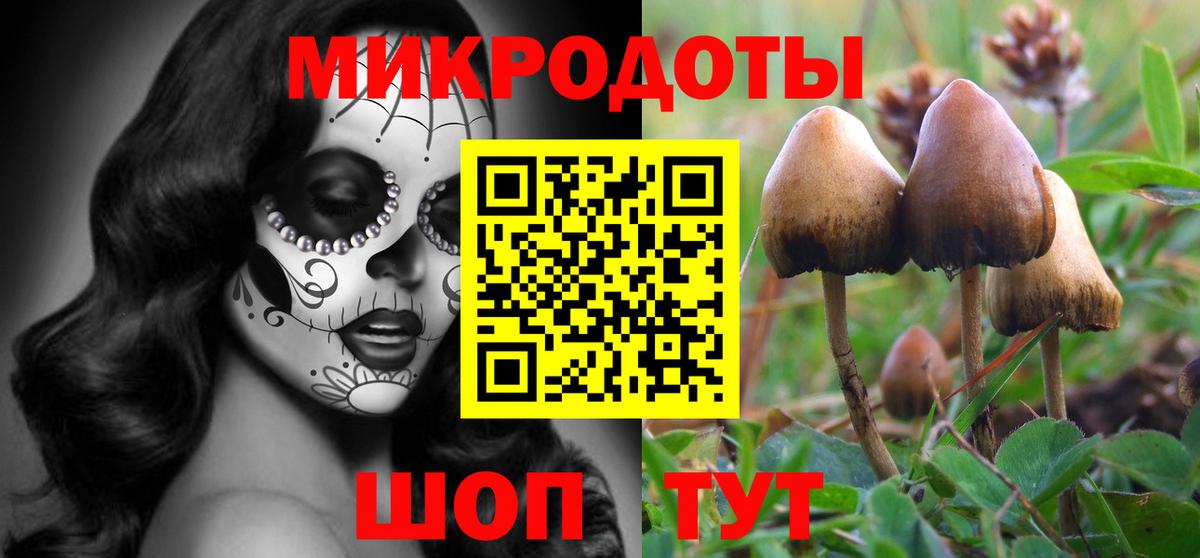 Галлюциногенные грибы ЛСД  Вход с VPN  Новосибирск  Псилоцибиновые грибы ЛСД 